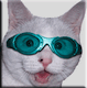 Green Goggles's Avatar