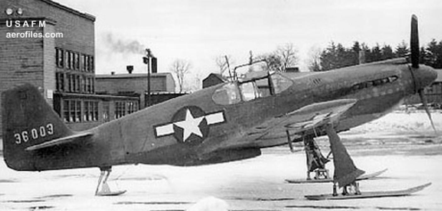 Name:  P51a-ski.jpg
Views: 3462
Size:  92.6 KB