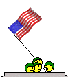 Name:  usa.gif
Views: 925
Size:  10.1 KB