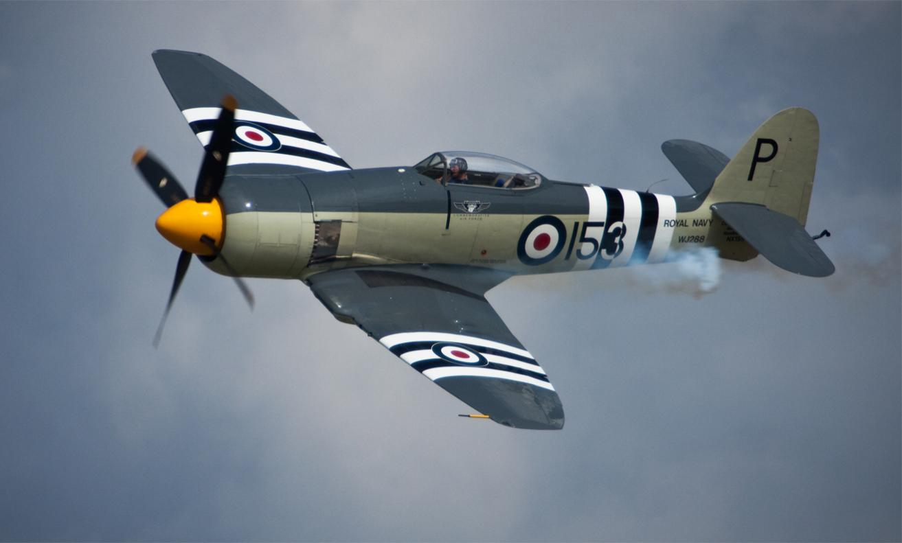 Name:  Hawker Sea Fury.jpg
Views: 1270
Size:  57.4 KB