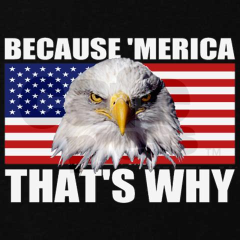 Name:  because_merica_thats_why_us_flag_american_eagle_sw.jpg
Views: 756
Size:  32.9 KB