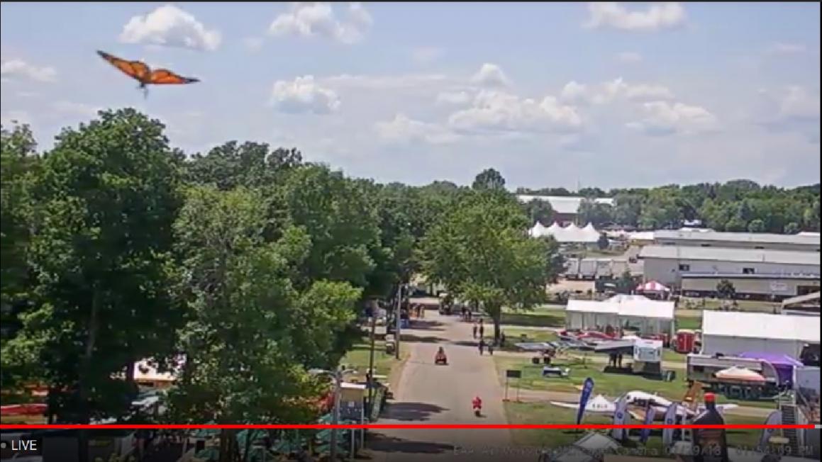 Name:  AirVenture  2018 Monarch Butterfly.jpg
Views: 1423
Size:  94.6 KB