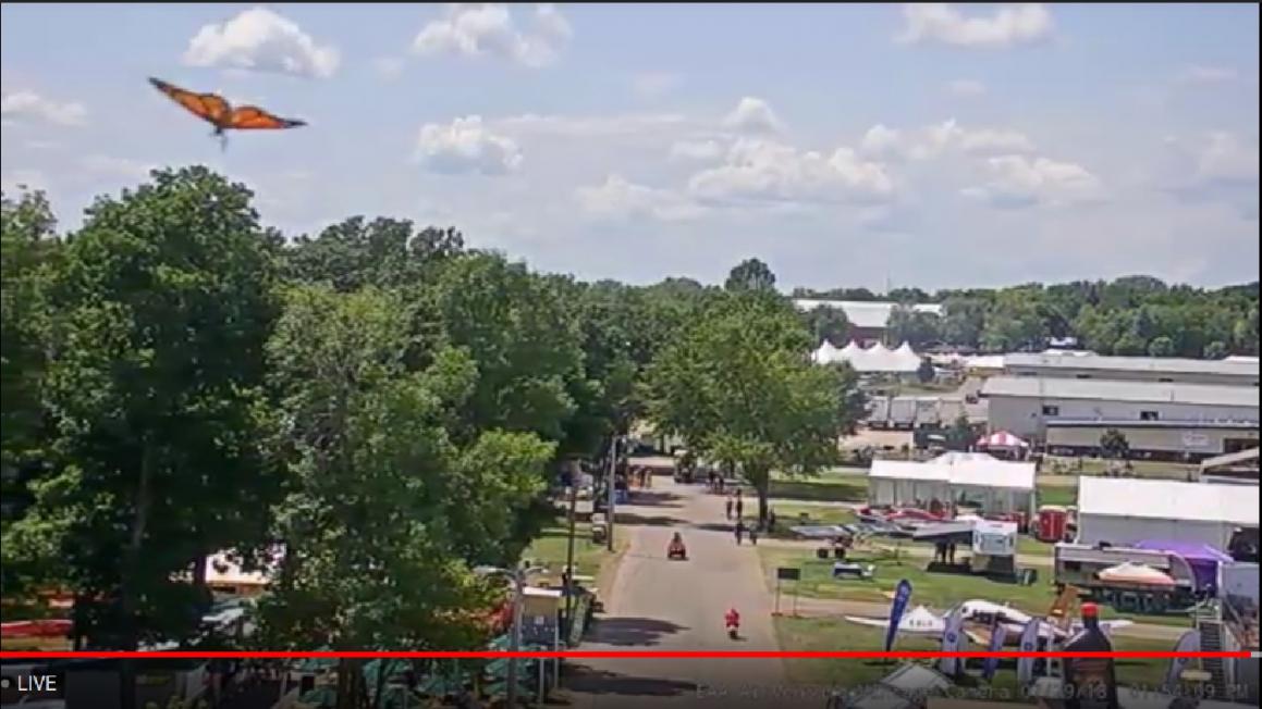 Name:  AirVenture  2018 Monarch Butterfly.jpg
Views: 919
Size:  94.6 KB