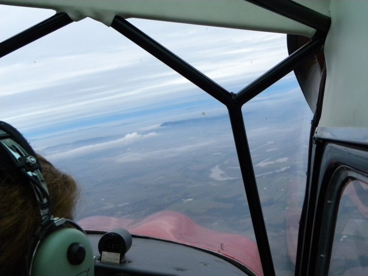 Name:  fly.jpg
Views: 1542
Size:  53.3 KB