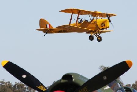 Name:  Blog Tiger Moth.jpg
Views: 226
Size:  29.4 KB